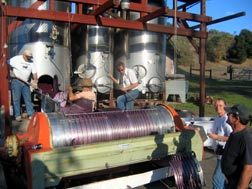 Pressing the grapes