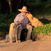 Jim, Lucy and Cowboy spending time together