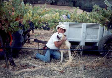 Jim hugging Bo in the vineyard