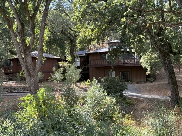 Hexagon houses viewed from the vineyard