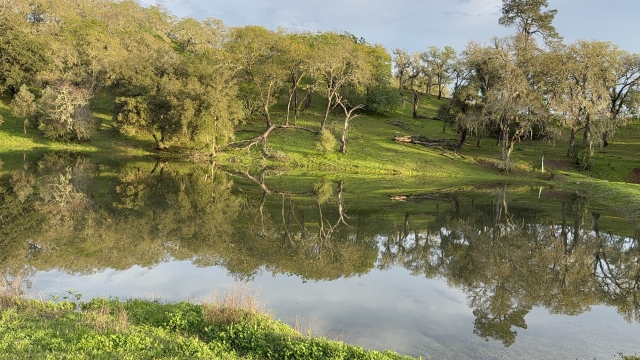 The irrigation pond full of water from the winter rains