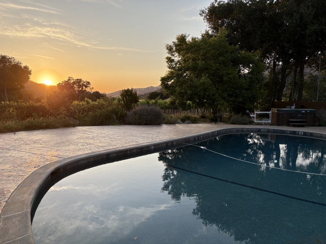 The swimming pool at sunset