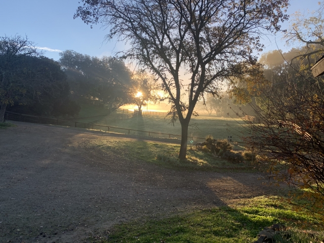 Sunrise view from the guesthouse.