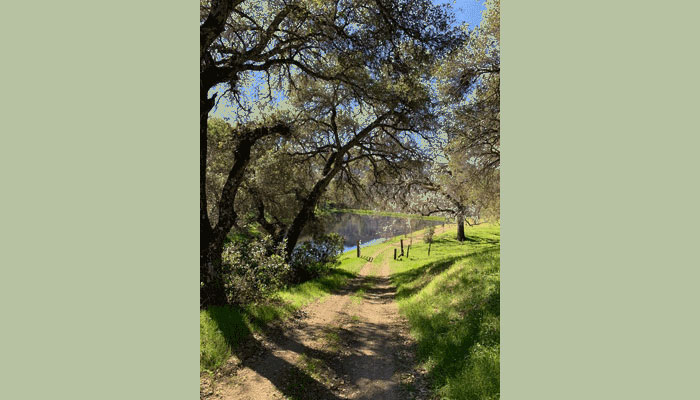 RustRidge Ranch & Winery