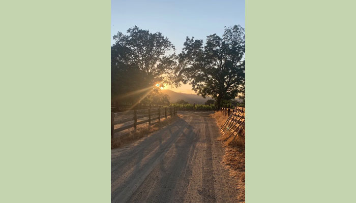 RustRidge Ranch & Winery