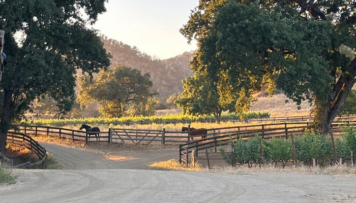 RustRidge Ranch & Winery